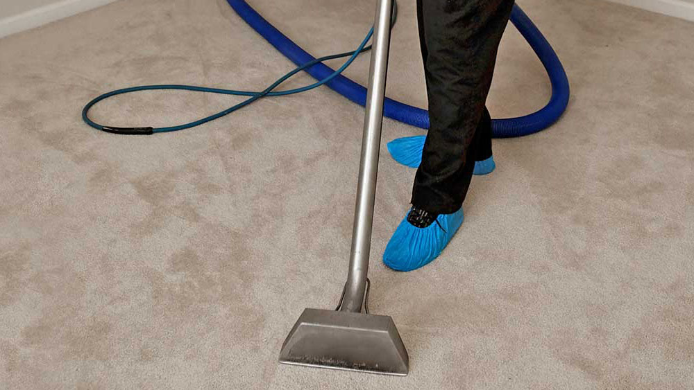 how to clean and maintain carpet